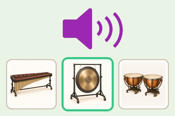 Descubre qué instrumento de percusión suena